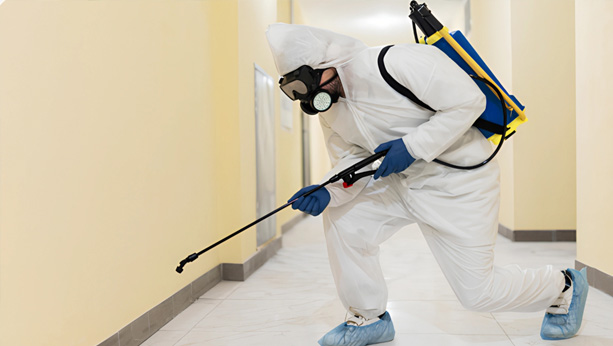 fumigation service